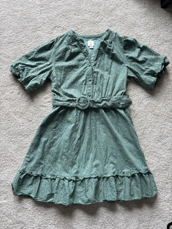 Joie Dresses & Skirts - Joie Sage Green Eyelet Midi Dress with Belt Cottagecore
